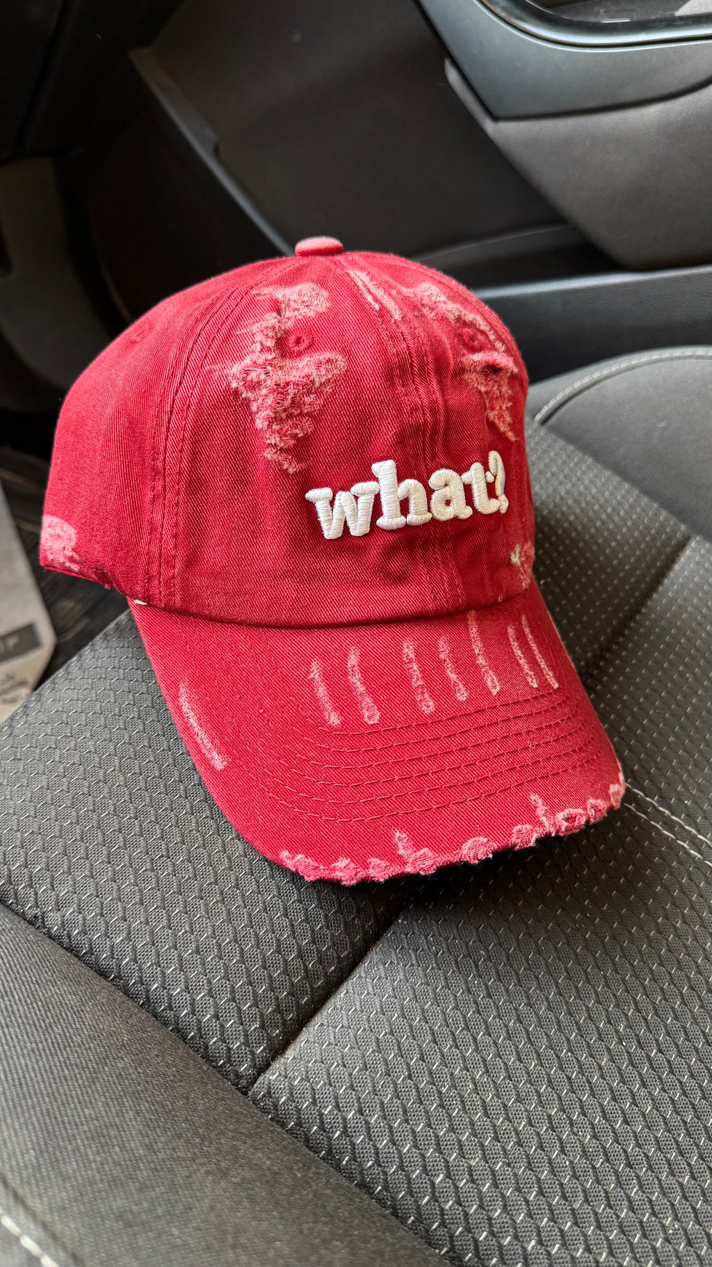What Dad Cap -1016
