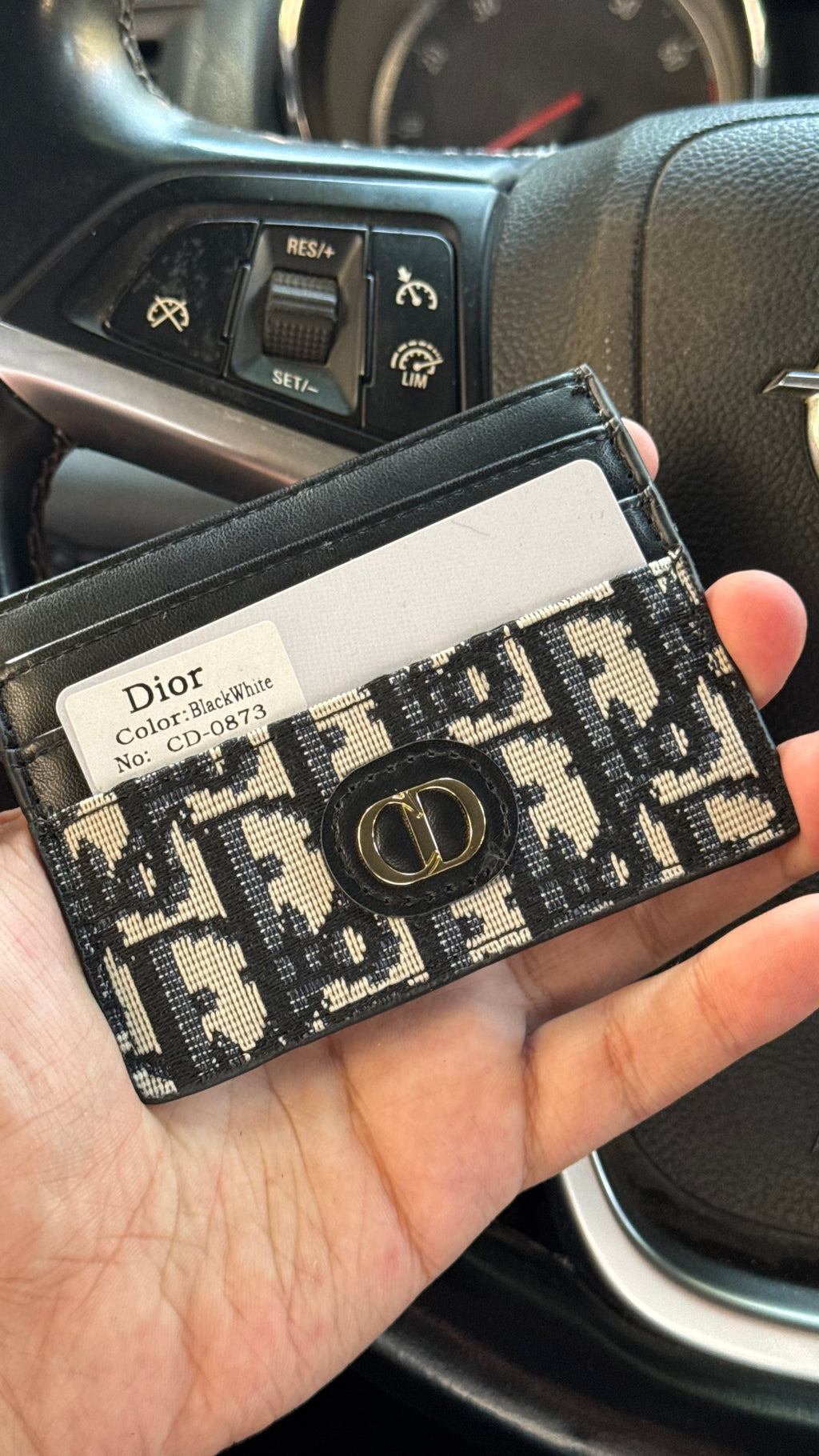 Christian Dior Card Holder-141