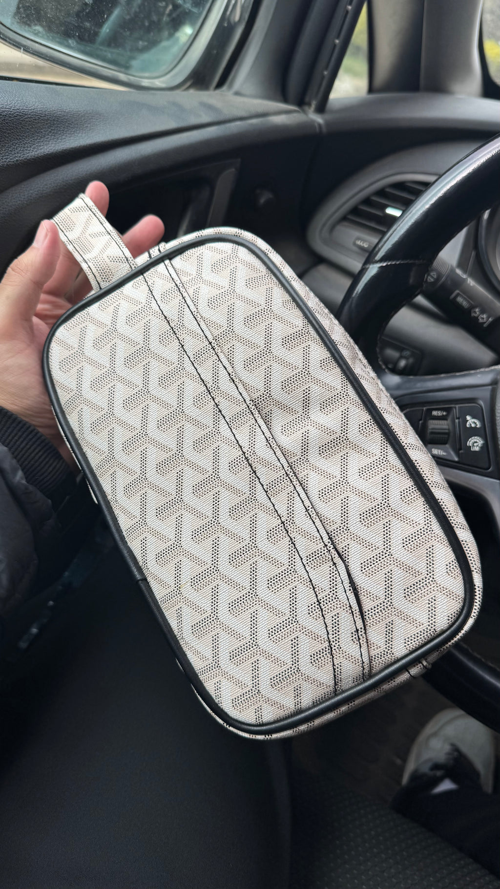 GoYard Hand Bag