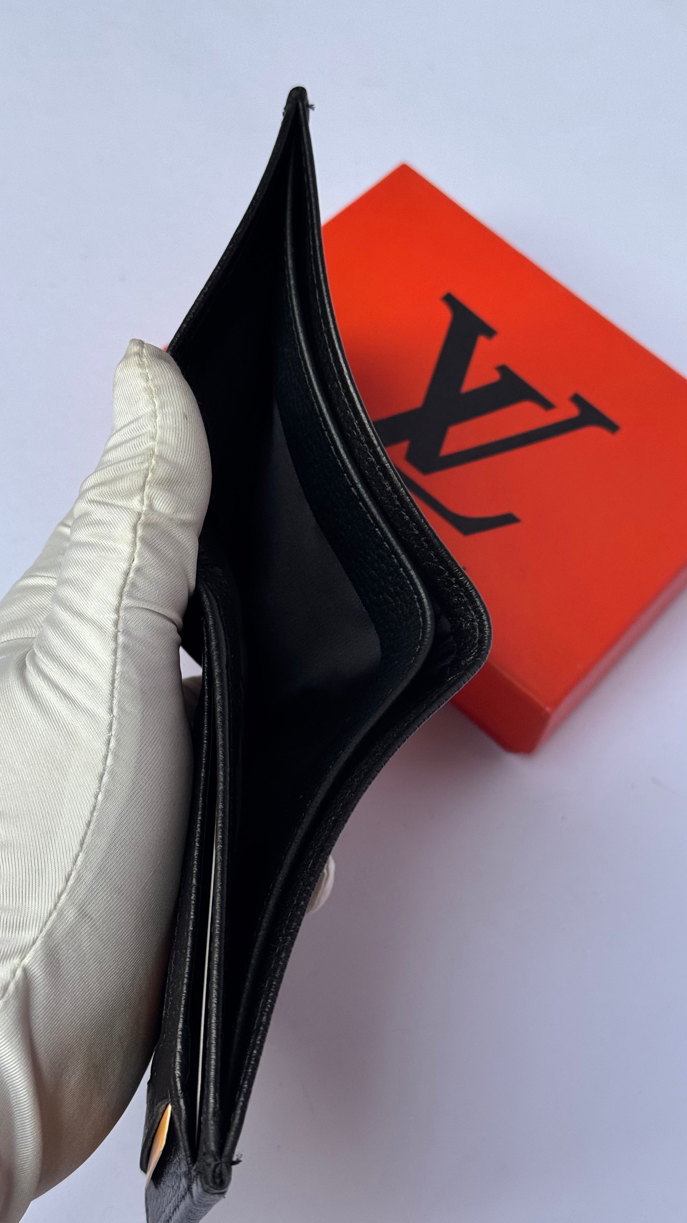 Louis Vuitton Grained Genuine Leather Wallet