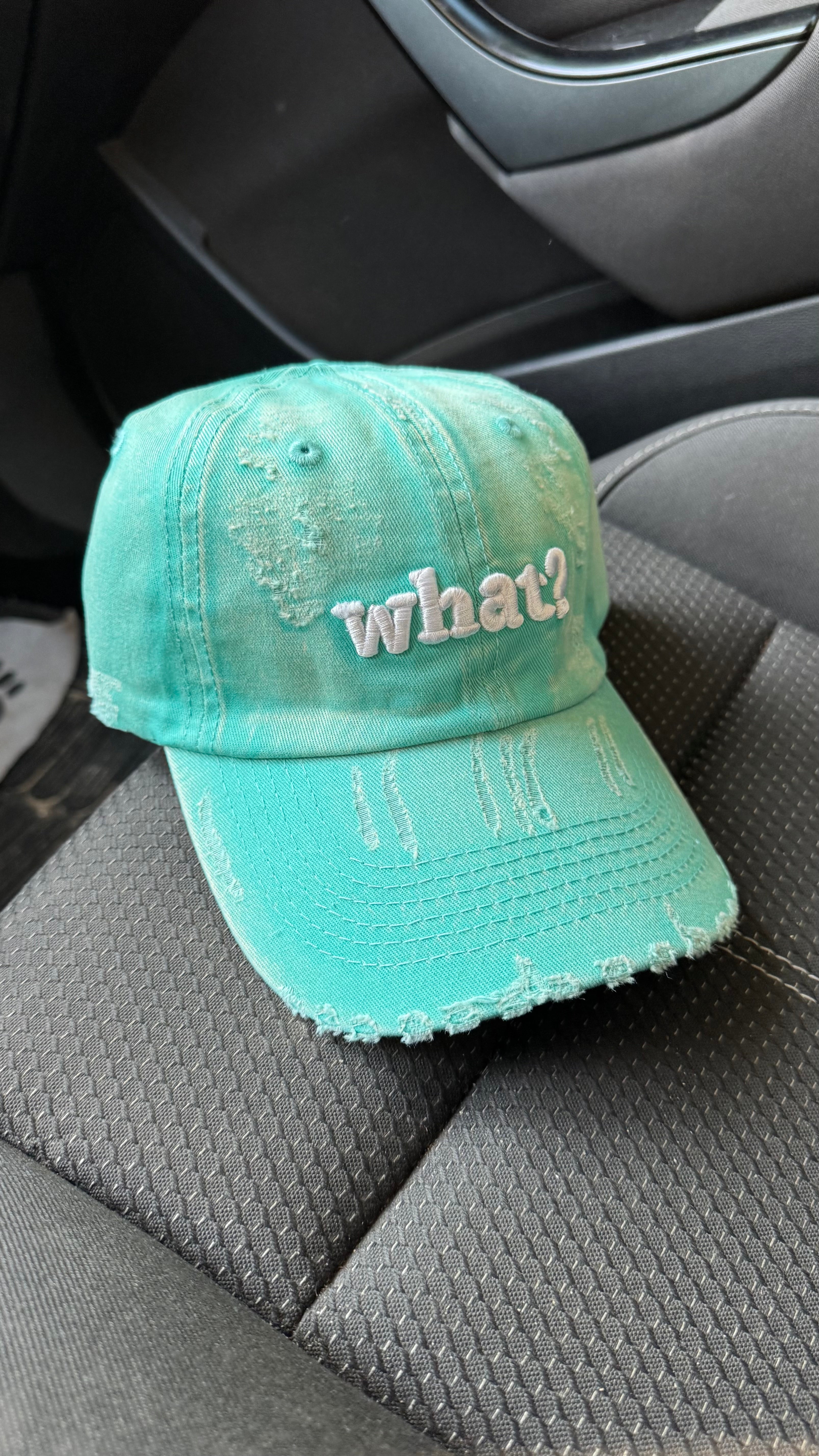 What Dad Cap -1015