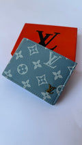 Louis Vuitton Baby Blue Wallet