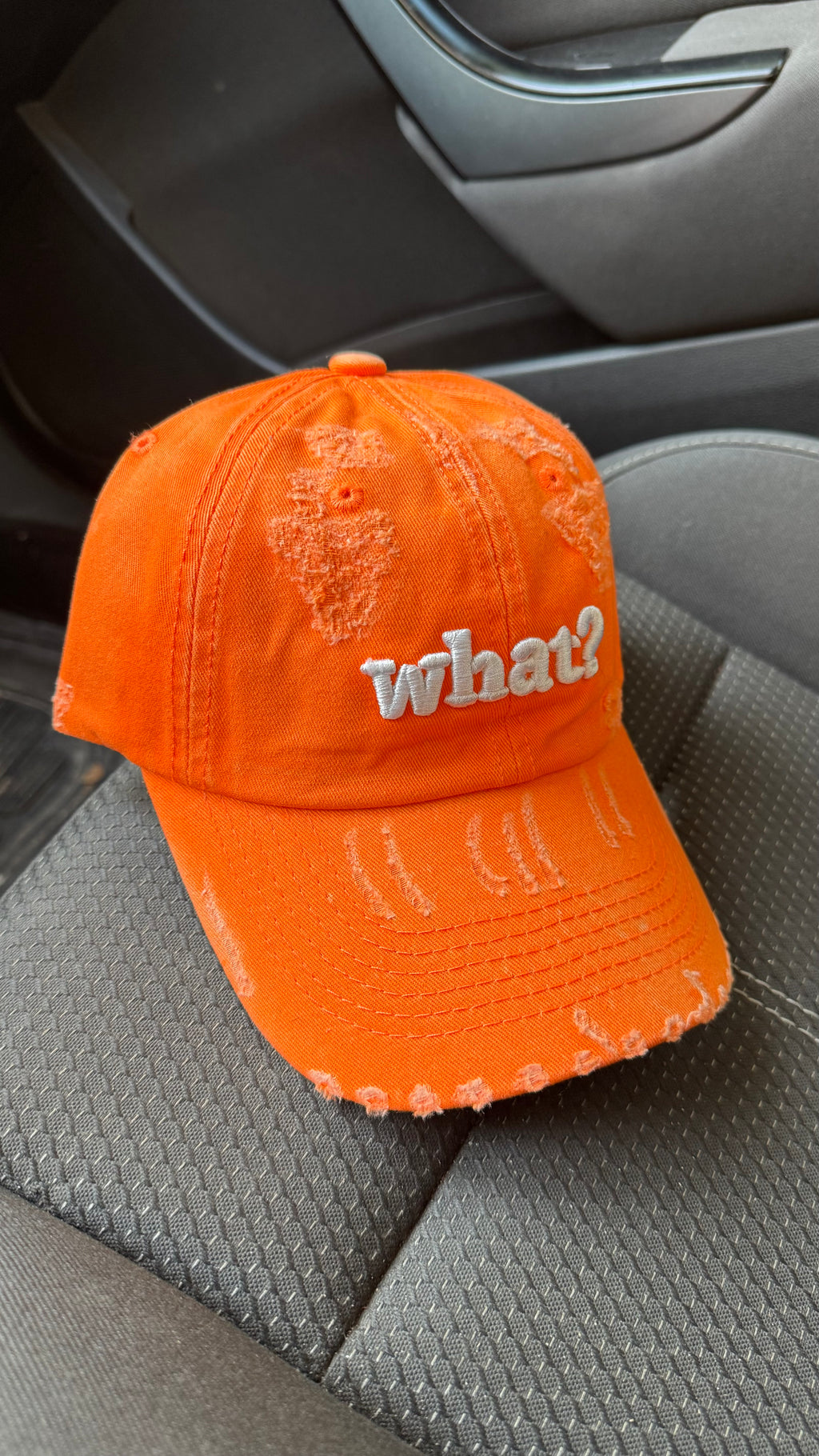 What Dad Cap -1013
