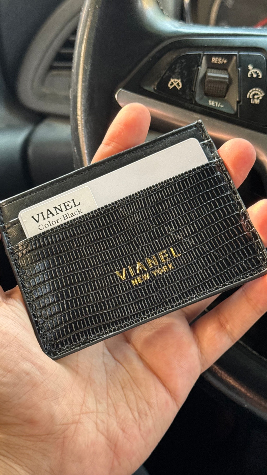 Vianel Card Holder-151